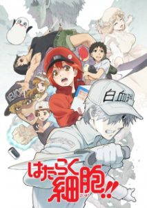Hataraku Saibou!! 2nd Season