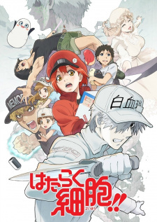Hataraku Saibou!! 2nd Season